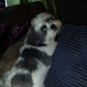 Meet your Posher, Leah